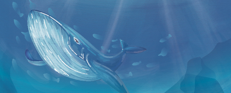 кит в воде