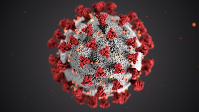 Пероральный препарат блокирует передачу SARS-CoV-2