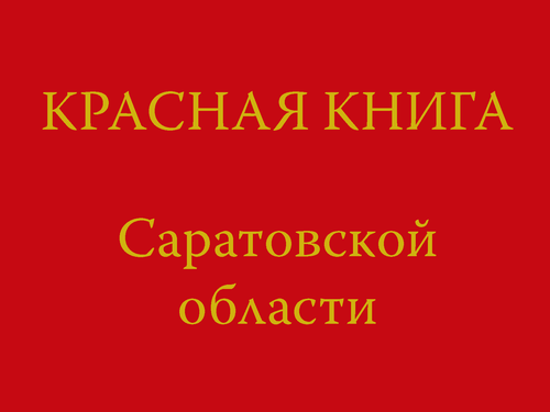 Вышло третье издание Красной книги Саратовской области