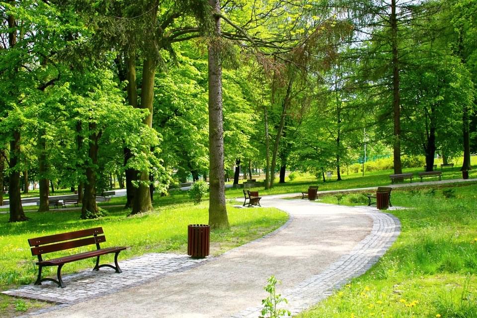 Петербург будут озеленять