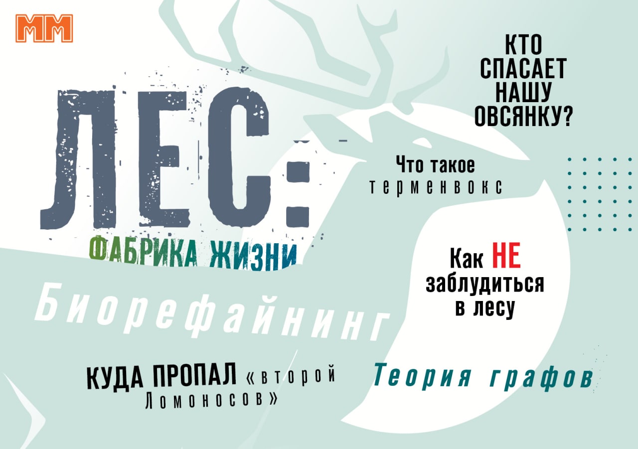 Майский «ММ»: все в лес!