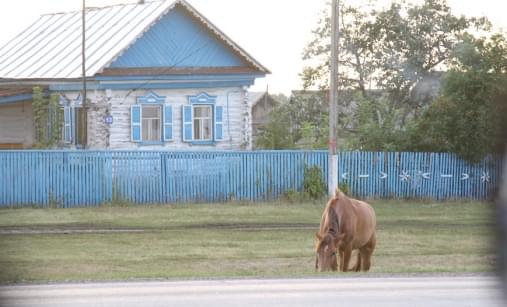 Из Магнитогорска в Уфу...