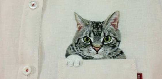 Пятничные котики