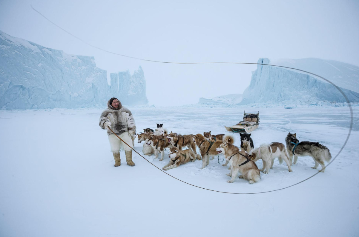 Лучшие фото года от National Geographic