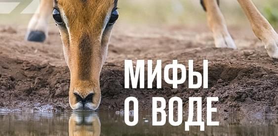 Мифы о воде