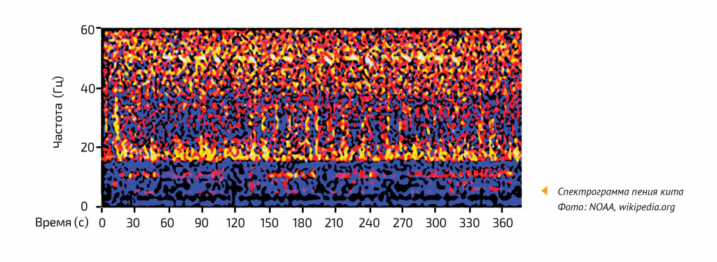 Спектрограмма пения кита