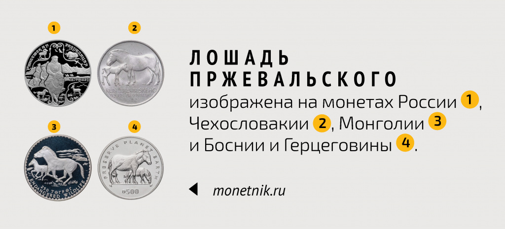 Изображение лошади Пржевальского на монетах России, Чехословакии, Монголии, Боснии и Герцеговины