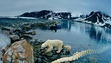 Температура в центральной Арктике может увеличиться на 20 градусов к 2100 году