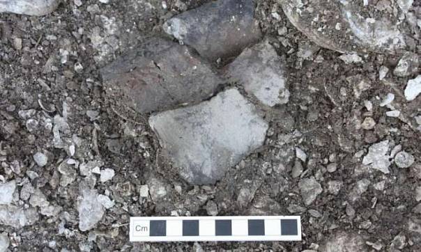 Новые свидетельства кулинарных предпочтений доисторического человека