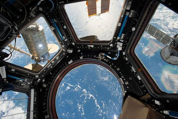 В NASA создают каталог бактерий и грибков, обнаруженных на МКС 