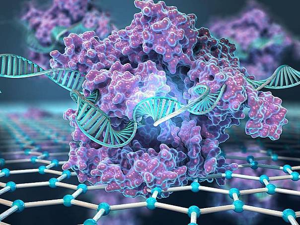Новый CRISPR-чип находит генетические мутации за считанные минуты