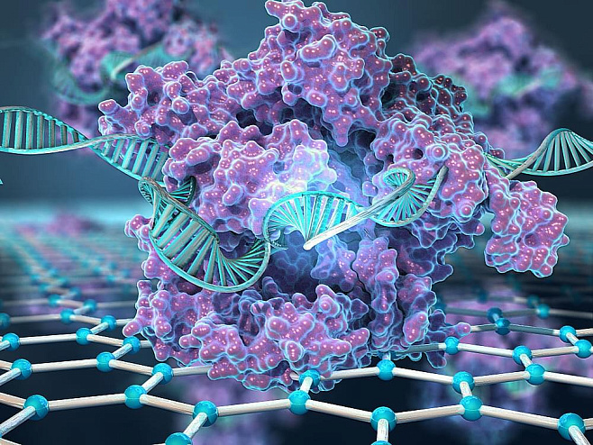 Новый CRISPR-чип находит генетические мутации за считанные минуты