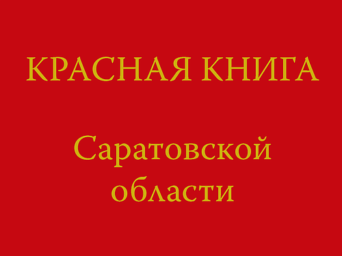 Вышло третье издание Красной книги Саратовской области