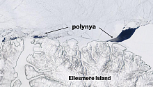 В зоне наиболее толстых льдов Арктики образовалась огромная брешь