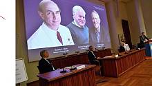 Нобелевскую премию по медицине дали за открытие гепатита С