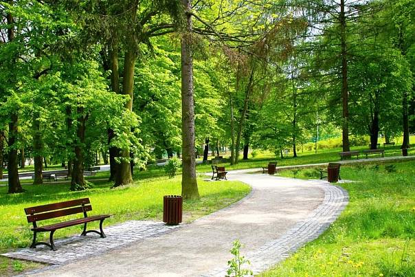 Петербург будут озеленять