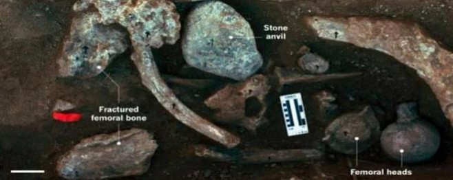 Могли ли люди появиться на американском континенте 130 тысяч лет назад?