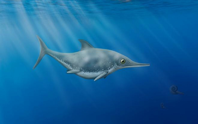 Доисторический «морской дракон», найденный на побережье Великобритании, оказался неизвестным ранее видом