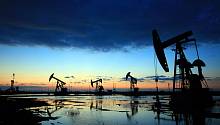 В Пермском Политехе создали сорбент для очистки почвы от нефти