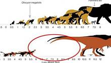 Почему динозавры были либо огромными, либо крохотными? Все дело в подростках
