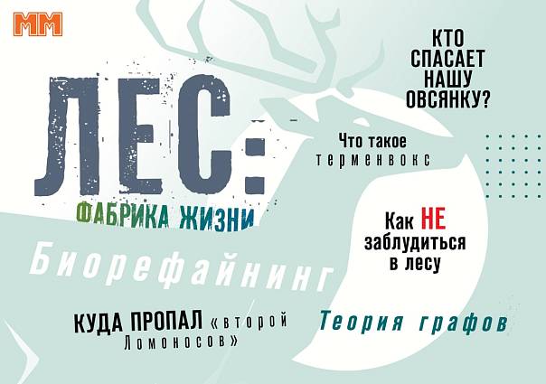 Майский «ММ»: все в лес!