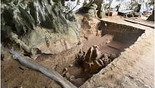 Обнаружена челюстная кость доисторического жителя Индонезии