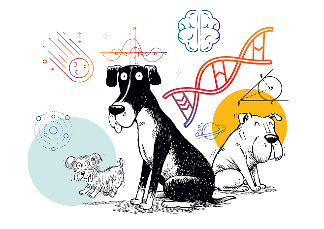 Пес-ученый: вклад собак в науку 