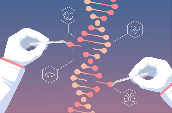 Алгоритм учёных Сколтеха усовершенствовал молекулярные ножницы CRISPR