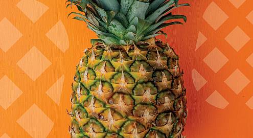 Ананас: последнее растение на Земле?