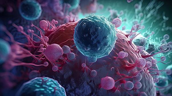 В ИТМО создали быстрый и точный инструмент для расчета объема полости молекул-чаш