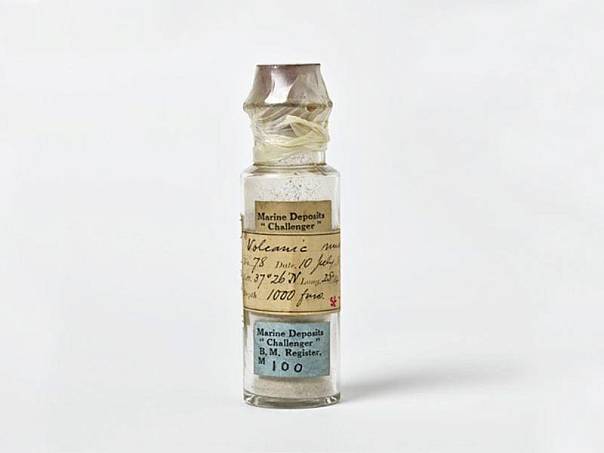 Раковины хранящегося в музее 150-летнего планктона почти в два раза толще, чем современные