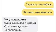У голосовых помощников то еще чувство юмора