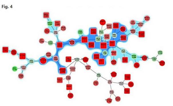 Разработанный российскими учеными алгоритм поможет оценить влияние генов на развитие болезней