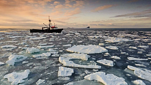 Льды Берингова моря стремительно тают в последние два года