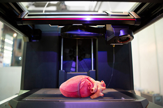 Человечество стремится напечатать на 3D-принтерах внутренние органы