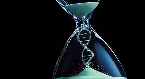 Гены долголетия: в поисках неведомого Кадата