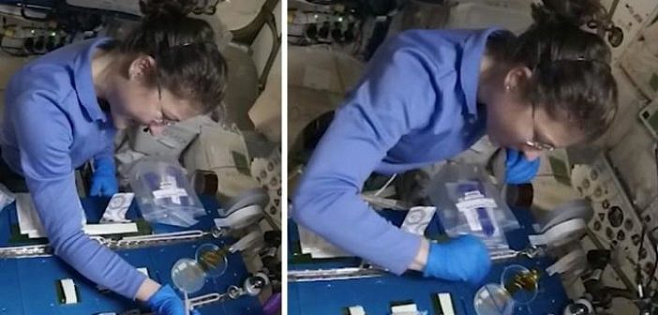 Экипаж МКС впервые провёл эксперимерт по модификации генов