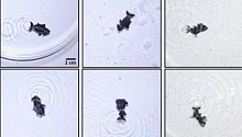 Исследователи создали необычных роботов: они самостоятельно восстанавливаются при разрыве