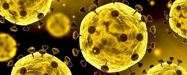 Ученые определили причину потери обоняния при заражении COVID-19