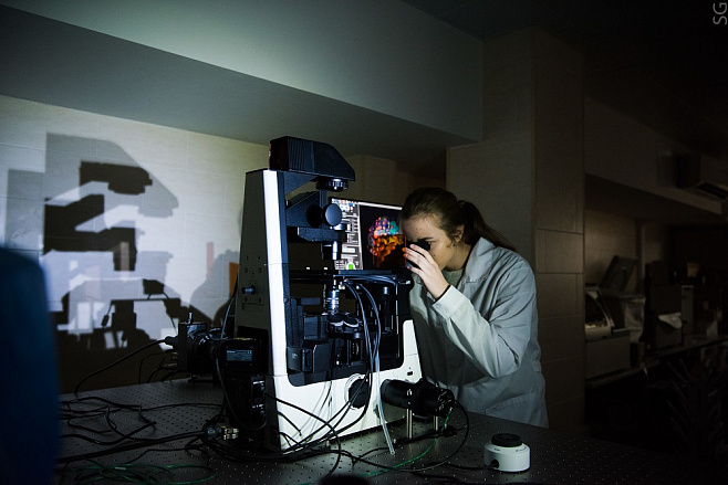 Нейтрофилы против рака: изучены способы доставки лекарств в опухоли с помощью клеток крови