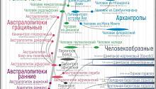 Антропогенез.ру представил новую родословную человека