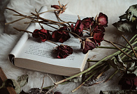 Литературный конкурс «Творю»