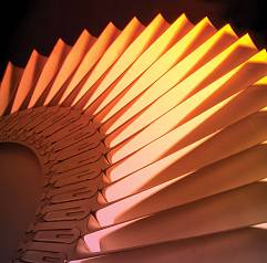 История одной лопатки