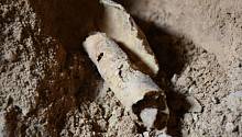 Вся коллекция свитков Мертвого моря в музее США оказалась подделкой