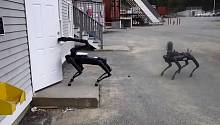 Робопсы Boston Dynamics поступили на службу в полицейский отряд сапёров