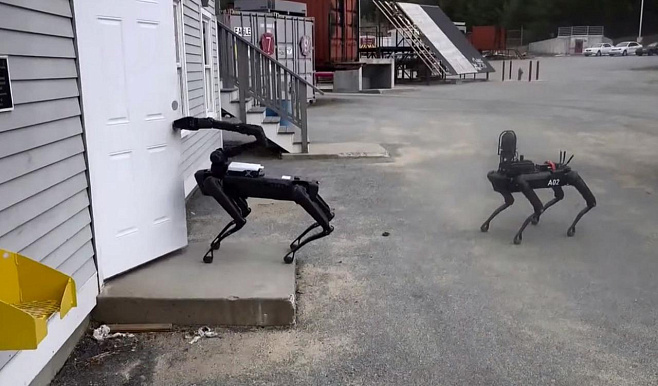 Робопсы Boston Dynamics поступили на службу в полицейский отряд сапёров