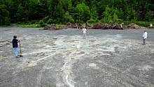 Ученые нашли самый старый в мире лес 
