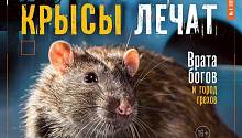 Январский «ММ»: знакомимся с главным героем 2020 года
