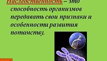 Интеллект не передается от отца к сыну!