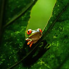 Механизм успеха: ноябрь 2025